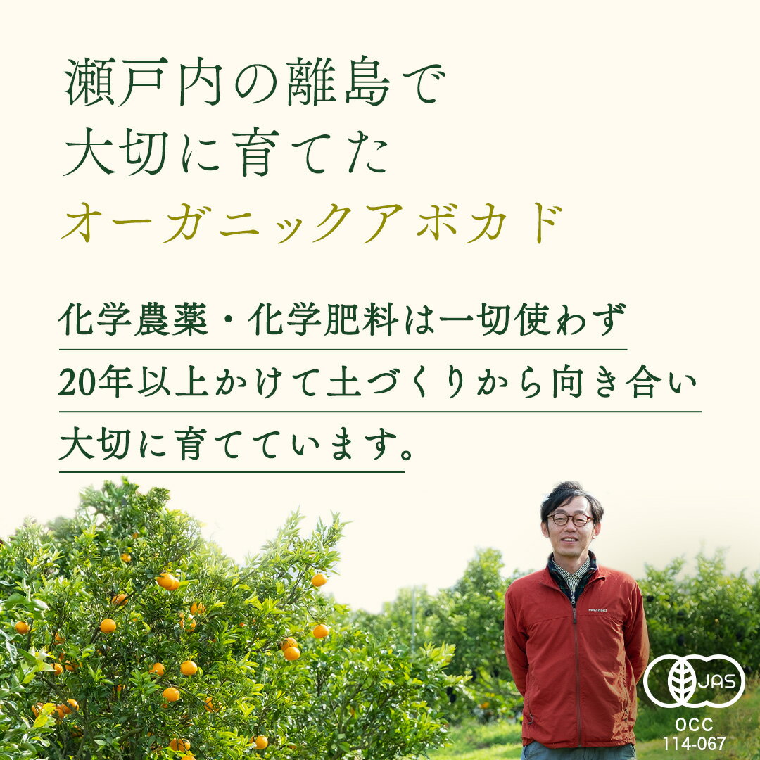 【ふるさと納税】国産 オーガニック アボカド ( ベーコン種 ) 有機JAS認証 有機栽培 アボガド 瀬戸内 有機 濃厚 希少 広島 大崎上島 サムネイル2