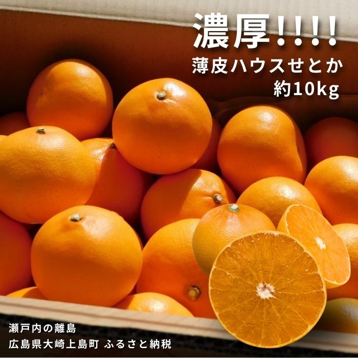 2月発送 Farm I-Faveur せとか 約10kg (35個程度) 果汁 たっぷり 薄皮 ハウス 広島県 大崎上島町 瀬戸内 離島 国産 濃厚 柑橘 みかん 果物 フルーツ 贈答用 ギフト 送料無料 産地直送