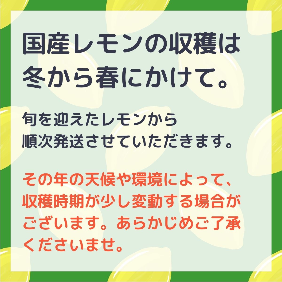 【ふるさと納税】先行予約 瀬戸内レモン 約2kg 約3kg 2025年12月から発送開始 レモン ワックス防腐剤不使用 選べるサイズ 選べる発送時期 広島県 大崎上島町 瀬戸内 離島 国産 皮ごと 丸ごと 露地栽培 ギフト 送料無料 産地直送 越田農園 サムネイル2