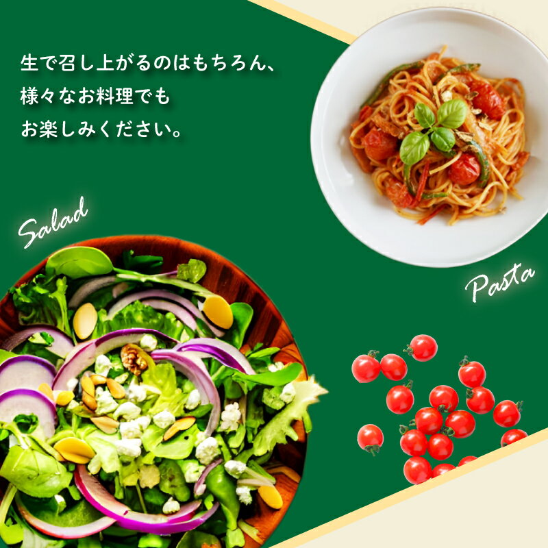 【ふるさと納税】 期間限定 フルーツトマト 寿美令トマト 500g ( 250g パック×2個 ) ミニトマト プチトマト 小分け 旬 野菜 サラダ 新鮮 季節 期間限定 下関 山口 サムネイル2