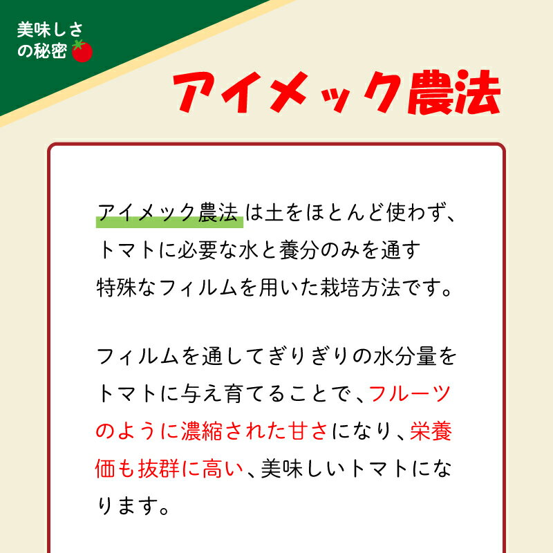 【ふるさと納税】 期間限定 フルーツトマト 寿美令トマト 500g ( 250g パック×2個 ) ミニトマト プチトマト 小分け 旬 野菜 サラダ 新鮮 季節 期間限定 下関 山口 サムネイル3