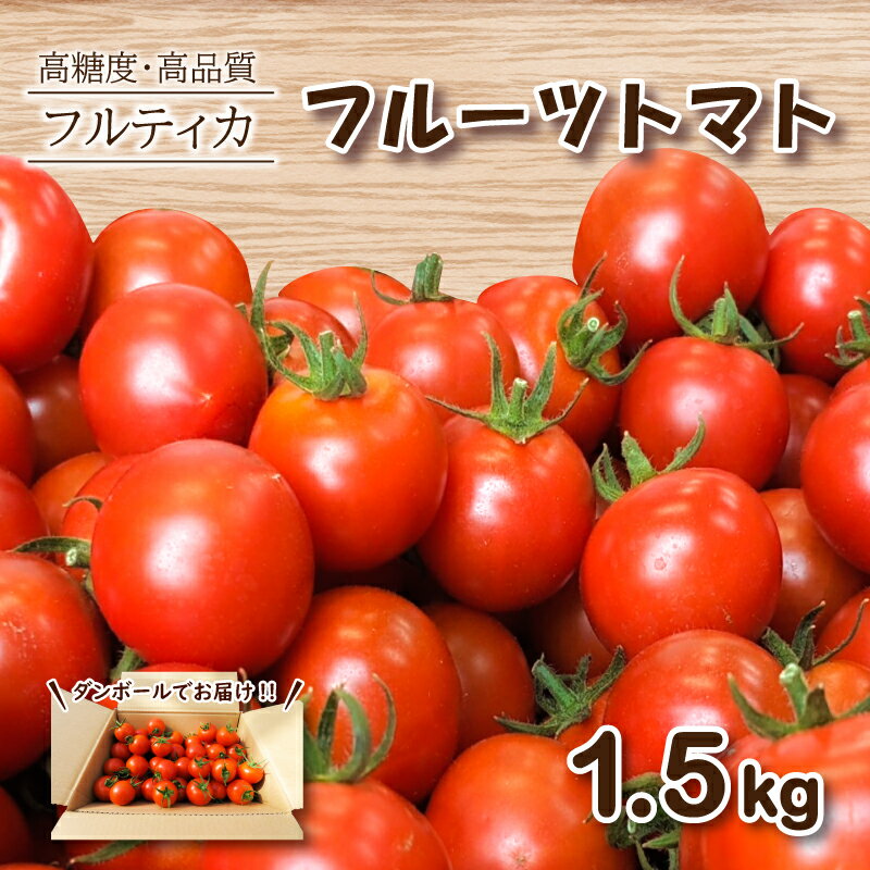 フルーツトマト フルティカ 1.5kg ミニトマト 選べる 発送 月 野菜 新鮮 プチトマト 期間限定 季節限定 高品質 高糖度 美容 健康 甘い 栄養 下関 山口