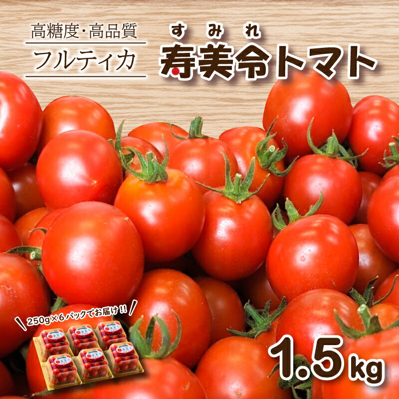 寿美令トマト フルーツトマト 1.5kg ( 250gパック×6個 ) 選べる 発送 月 野菜 新鮮 プチトマト 期間限定 小分け 季節限定 トマト 下関 山口