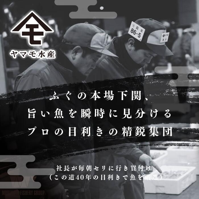 【ふるさと納税】 ふぐセット 冷凍 選べる内容 高級 鮮魚 魚介 フグ とらふぐ まふぐ 刺身 ふぐ刺し 鍋 唐揚げ 白子豆腐 てっさ てっちり プレゼント ギフト 贈答 祝い 記念日 お中元 お歳暮 母の日 父の日 年末 年始 正月 山口県 下関市 発送時期が選べる ふるさと納税ふぐ サムネイル2