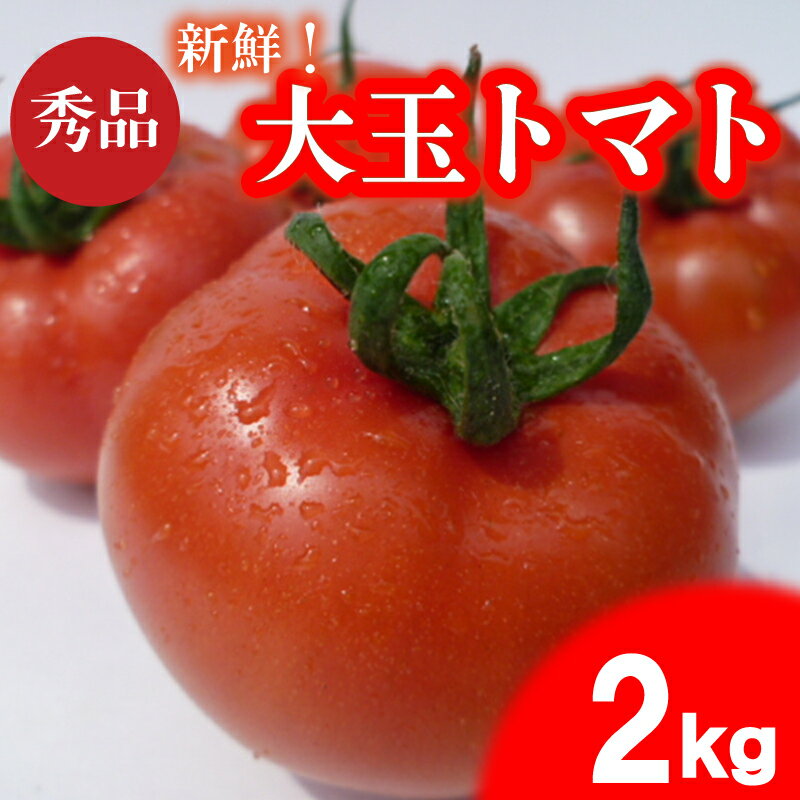 トマト 先行予約 2kg 大玉トマト 選べるサイズ 期間限定 数量限定 野菜 産地直送 高糖度 リコピン ビタミンC 美容 栄養 甘い おいしい 大容量 下関 山口 【2026年4月以降の発送】