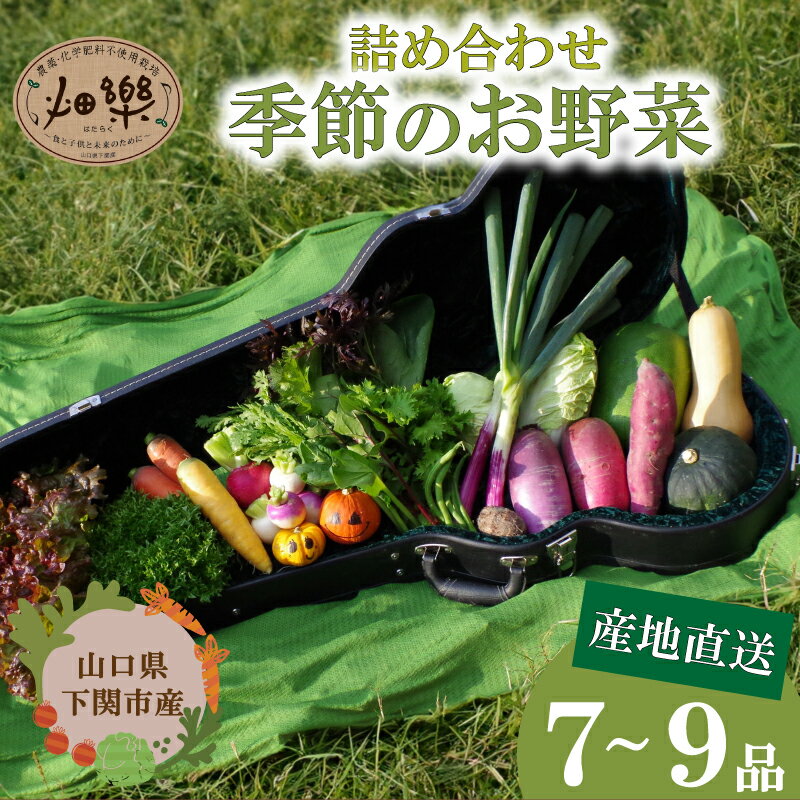 旬 の 野菜 詰め合わせ セット 7 ~ 9 品 単回・定期便 3〜10回 【2025年5月以降順次発送】 お楽しみ 産地直送 農家直送 季節 春 夏 秋 冬 露地野菜 やさい サラダ 農薬 化学肥料 不使用 下関 山口