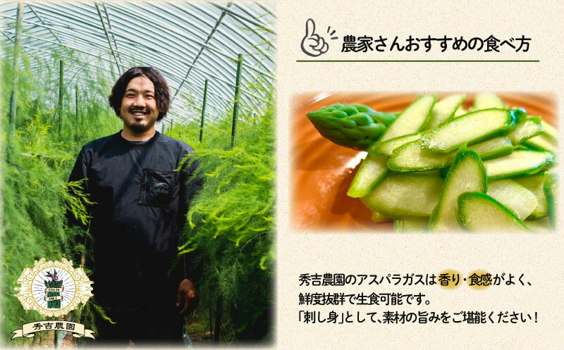 【ふるさと納税】 アスパラガス 500g~2.1kg 春 期間限定 数量限定 朝採れ 大容量 アスパラ S~2L 有機肥料使用 サイズ混合 訳あり セット 野菜 新鮮 夕飯 おかず お弁当 新鮮アスパラ 選べる 容量 サイズ 選べる お届け月 秀吉農園 菊川 下関 山口 【2026年3~4月より発送】 - 画像3