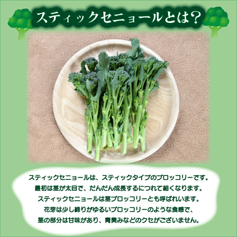 【ふるさと納税】 スティックセニョール 1kg 茎 ブロッコリー 朝採れ 新鮮 野菜 サラダ お弁当 ピクニック 産地直送 期間限定 下関 山口 【 期間限定 】 - 画像3