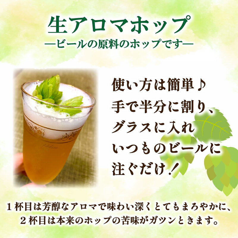【ふるさと納税】 ビール の 原料 アロマホップ 生ホップ 〜 ビールに浮かべて〜 50g 【2026年6月中旬～7月中旬頃】 産地直送 野菜 農家直送 季節限定 露地栽培 農薬 化学肥料 不使用 下関 山口 - 画像2