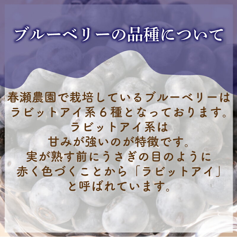 【ふるさと納税】 【先行予約受付】【数量限定】 冷凍 ブルーベリー 計 750g 手摘み 【2026年7月より順次発送】 ( 小分け フルーツ 果物 スイーツ デザート 国産 ベリー アイス ジャム パン パンケーキ ヨーグルト おやつ スムージー 朝食 無農薬 長期保存 ) 下関 山口 サムネイル3