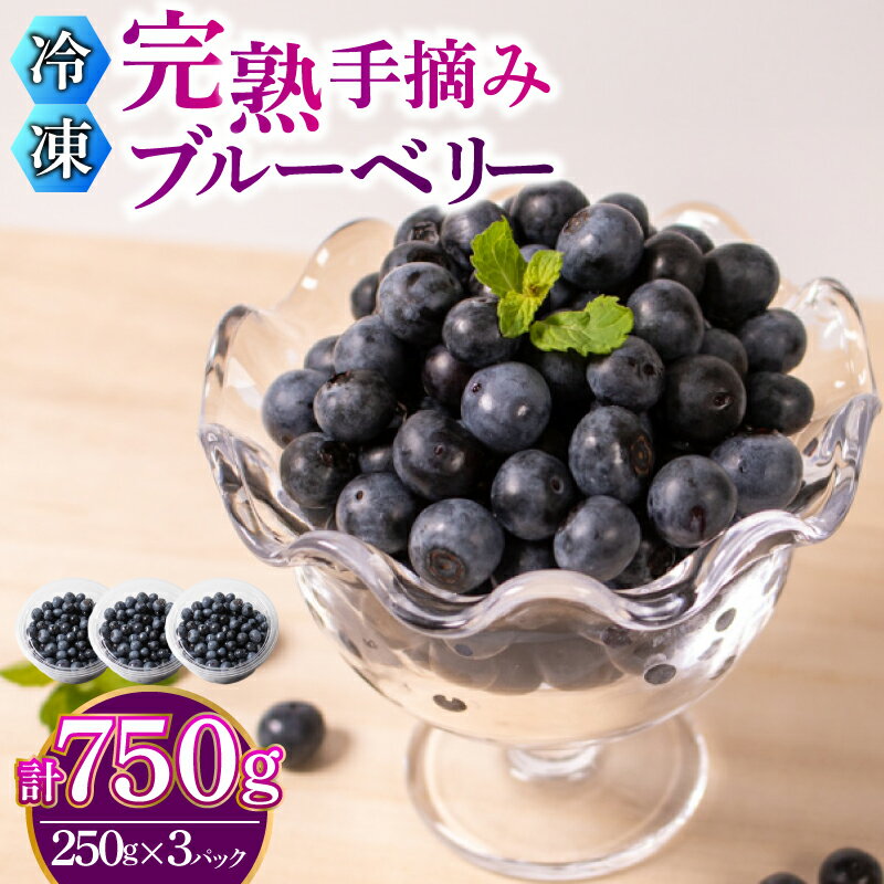 【先行予約受付】【数量限定】 冷凍 ブルーベリー 計 750g 手摘み 【2026年7月より順次発送】 ( 小分け フルーツ 果物 スイーツ デザート 国産 ベリー アイス ジャム パン パンケーキ ヨーグルト おやつ スムージー 朝食 無農薬 長期保存 ) 下関 山口