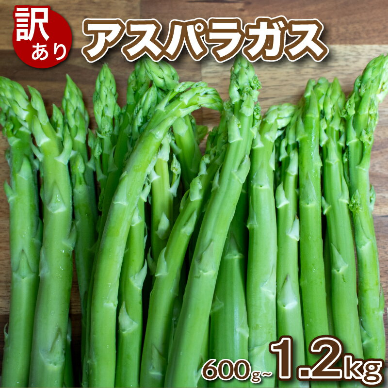 訳あり アスパラガス B品 600g~1.2kg 朝採れ 大容量 アスパラ S~3L 有機肥料使用 サイズ混合 セット SDGs フードロス 食品ロス お届け月 規格外 野菜 新鮮 夕飯 おかず お弁当 新鮮アスパラ 選べる 容量 下関 山口