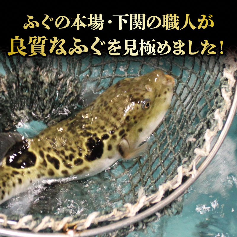 【ふるさと納税】 ふぐ 切身 たっぷり 4人前 天然 ふぐちり 鍋 唐揚げ てっちり 本場フグ刺し 関門ふぐ ふく ふくちり ふぐ鍋 ふぐちり鍋 海鮮鍋 高級魚 鮮魚 本場 山口 冬 旬 お取り寄せ ギフト 贈答 お祝い 記念 日指定可 サムネイル2