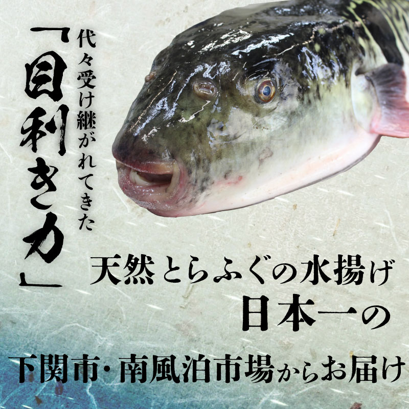 【ふるさと納税】 ふぐ 刺身 ちり 鍋 セット 皮 湯引き 3～4人前 冷凍 とらふぐ 刺し まふぐ ふく てっさ てっちり 高タンパク コラーゲン 低脂肪 ボトル ポン酢 ひれ 付き 山口 下関 ふぐちり鍋 海鮮鍋 鍋セット 冬 旬 フグ 旬の鮮魚 高級魚 ご家族用 お祝い ギフト 父の日 サムネイル3