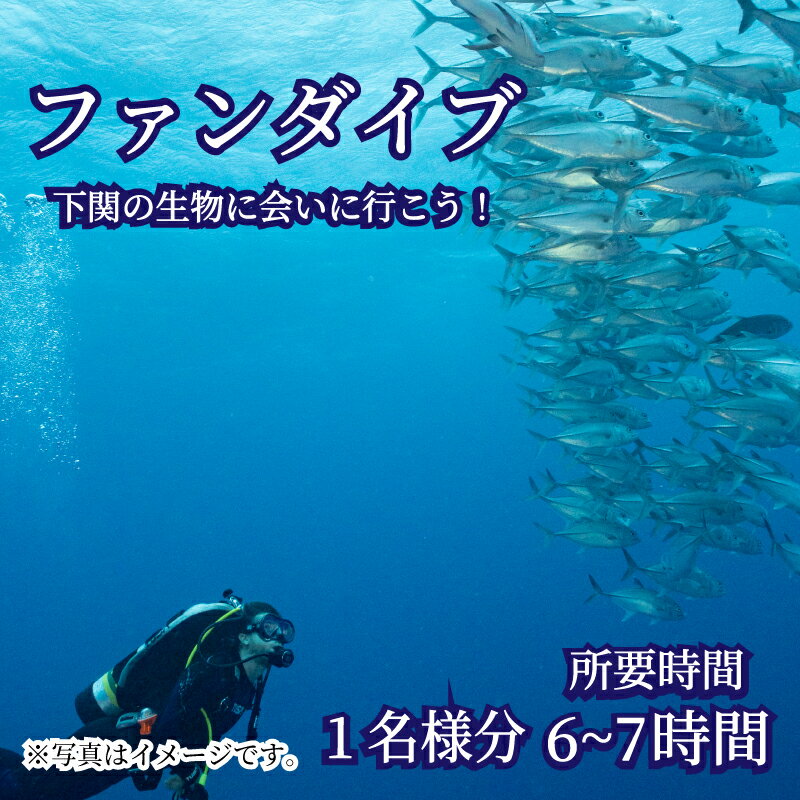 ファン ダイブ 2ダイブ 1名様分 ビーチ スポーツ マリンスポーツ アクティビティ 下関 山口