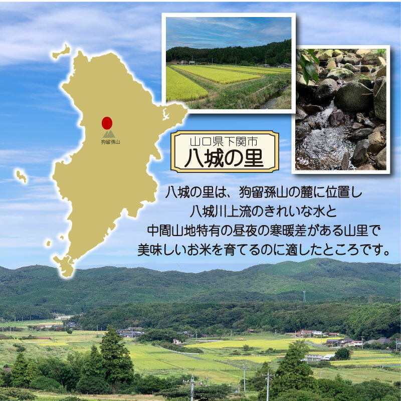 【ふるさと納税】 米 5kg 10kg 選べる 定期便 令和7年度産 回数 ひのひかり きぬむすめ こしひかり にじのきらめき 玄米 お米 10kg 30kg 60kg 産地直送 農家直送 月1回お届け お届け回数 コシヒカリ 大容量 下関 山口 - 画像2