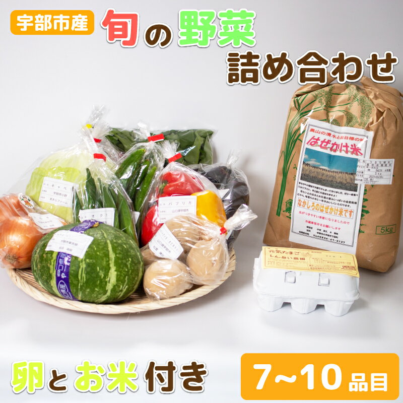 宇部産のお米と野菜 ＜楠こもれびの郷「楠四季菜市」＞　山口県 宇部市 宇部産 米 5kg 新鮮 野菜 詰合わせ 農家 土づくり 有機 肥料 地元産 季節 旬