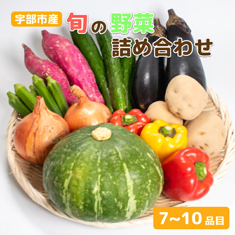新鮮野菜の産直 ＜楠こもれびの郷「楠四季菜市」＞　山口県 宇部市 宇部産 新鮮 野菜 詰合わせ 農家 土づくり 有機 肥料 地元産 季節 旬