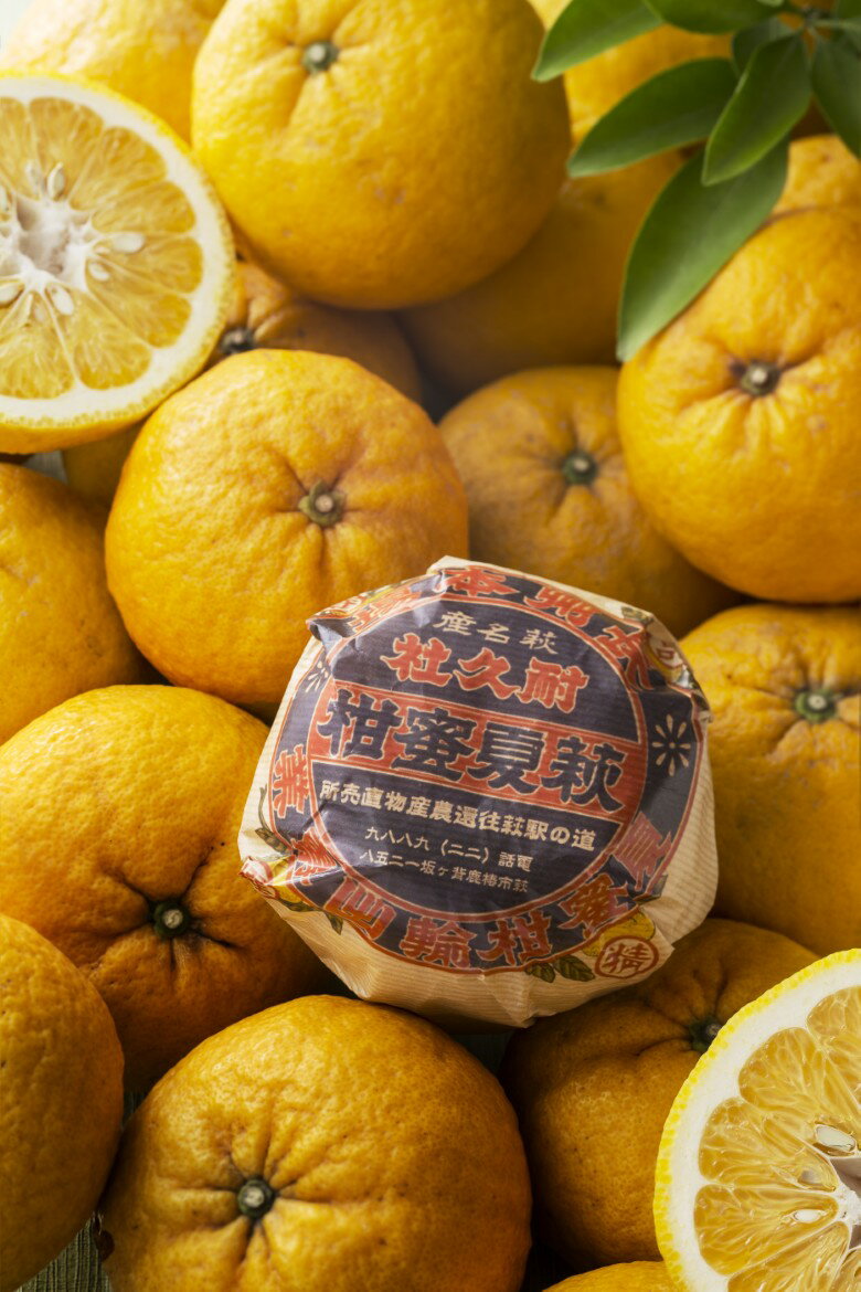 【ふるさと納税】萩の甘夏 食べ比べ セット 8kg以上 20玉程度 野菜ソムリエ プロselect 甘夏 果物 デザート 柑橘 サムネイル2