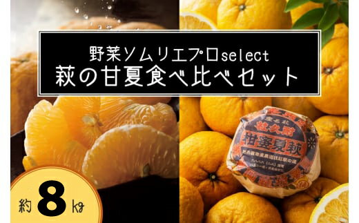 萩の甘夏 食べ比べ セット 8kg以上 20玉程度 野菜ソムリエ プロselect 甘夏 果物 デザート 柑橘