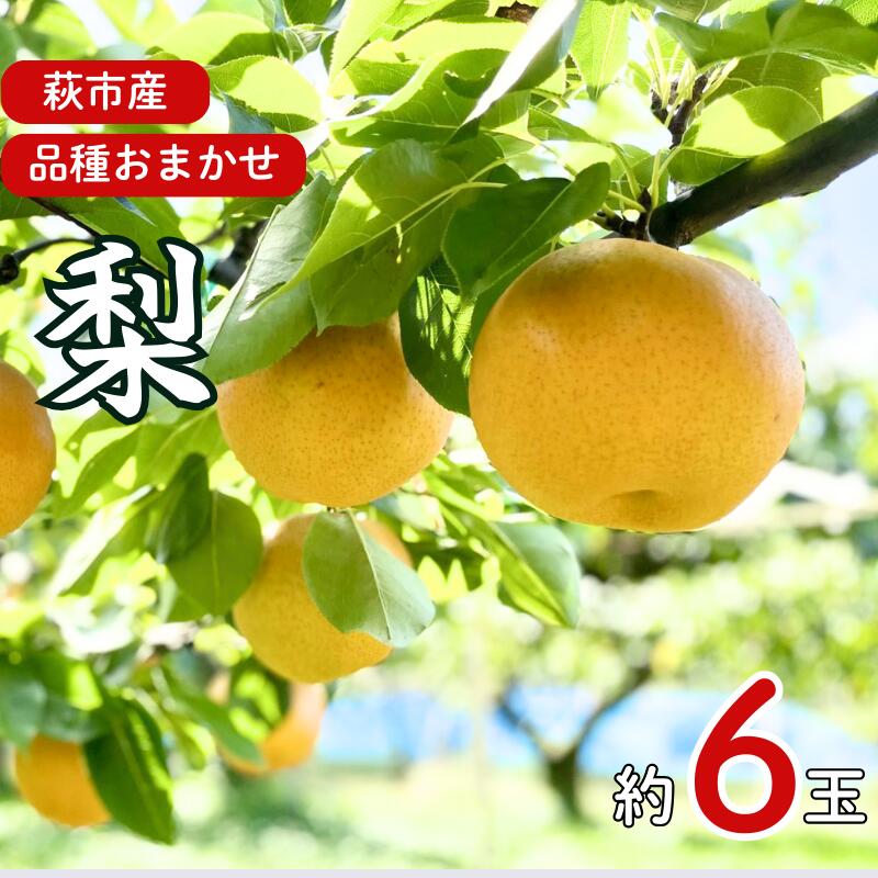 吉田農園の梨詰め合わせセット 6球程度 小川梨 季節の品種 萩産 果物 フルーツ なし ナシ スイーツ デザート 国産 日本産 食品 グルメ 食卓 山口県 萩市 美味しい おいしい プレゼント ギフト プチギフト 贈り物 お中元 人気 おすすめ 贈答用