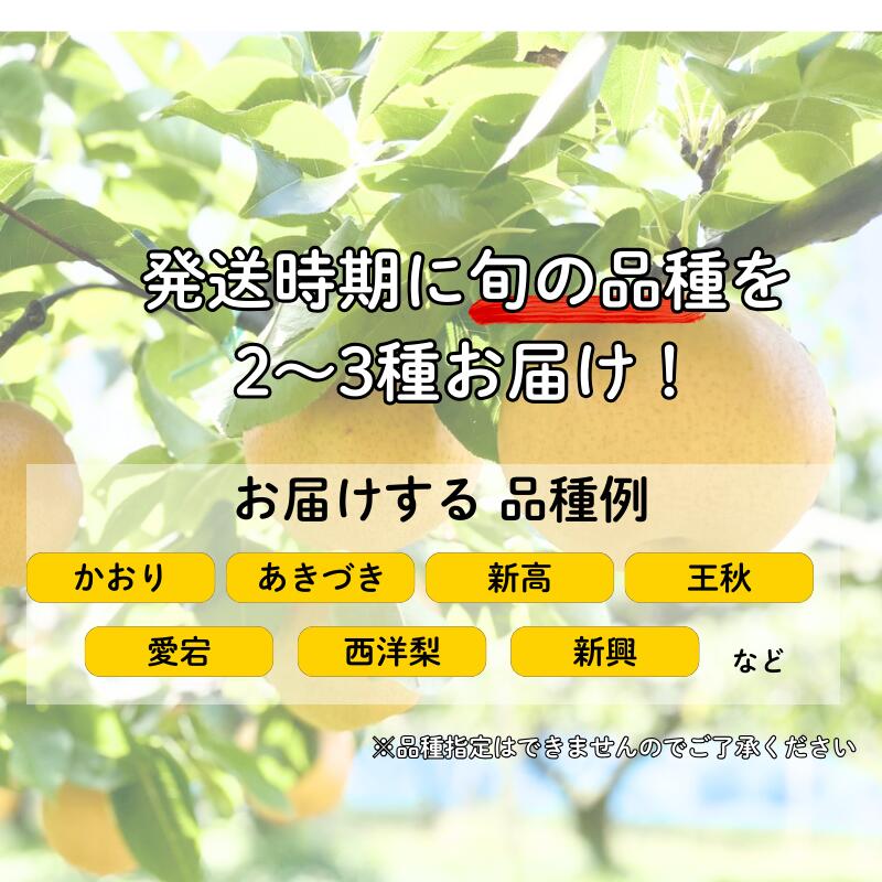 【ふるさと納税】吉田農園の梨詰め合わせセット 6球程度 小川梨 季節の品種 萩産 果物 フルーツ なし ナシ スイーツ デザート 国産 日本産 食品 グルメ 食卓 山口県 萩市 美味しい おいしい プレゼント ギフト プチギフト 贈り物 お中元 人気 おすすめ 贈答用 サムネイル2