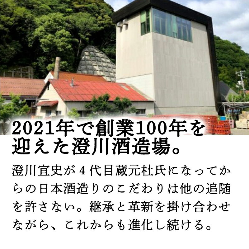 【ふるさと納税】日本酒 純米大吟醸 東洋美人 壱番纏 720ml×1本 酒 お酒 地酒 純米吟醸酒 アルコール 国産 日本産 プレゼント ギフト プチギフト 人気 山口県 萩市 美味しい おいしい 贈り物 誕生日プレゼント 宅飲み 家飲み お祝い 贈答用 お中元 父の日 敬老の日 サムネイル2