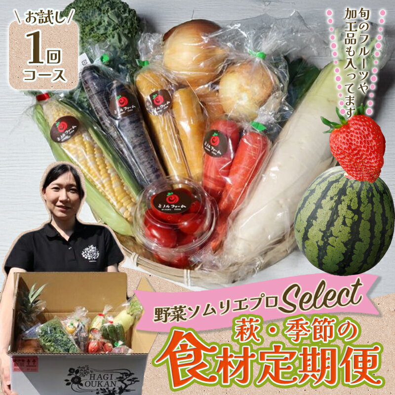野菜ソムリエプロselect／萩・季節の食材セット　お試し1回コース