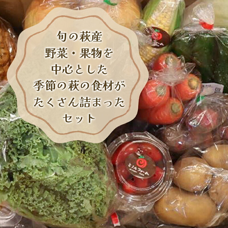 【ふるさと納税】野菜ソムリエプロselect／萩・季節の食材セット　お試し1回コース - 画像3