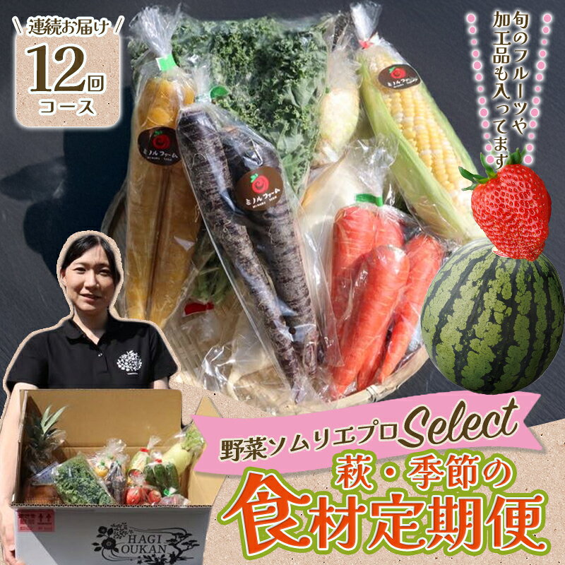 野菜ソムリエプロselect／萩・季節の食材定期便 12回コース 国産 日本産 食品 食べ物 グルメ 新鮮 食材 食事 料理 おかず 惣菜 お弁当 ご飯のお供 食卓 山口県 萩市 美味しい おいしい プレゼント ギフト 贈り物 人気 おすすめ 贈答用 お祝い お中元