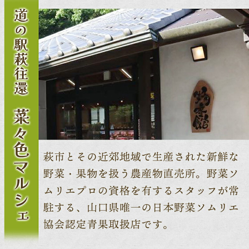 【ふるさと納税】野菜ソムリエプロselect／萩・季節の食材定期便 12回コース 国産 日本産 食品 食べ物 グルメ 新鮮 食材 食事 料理 おかず 惣菜 お弁当 ご飯のお供 食卓 山口県 萩市 美味しい おいしい プレゼント ギフト 贈り物 人気 おすすめ 贈答用 お祝い お中元 - 画像2