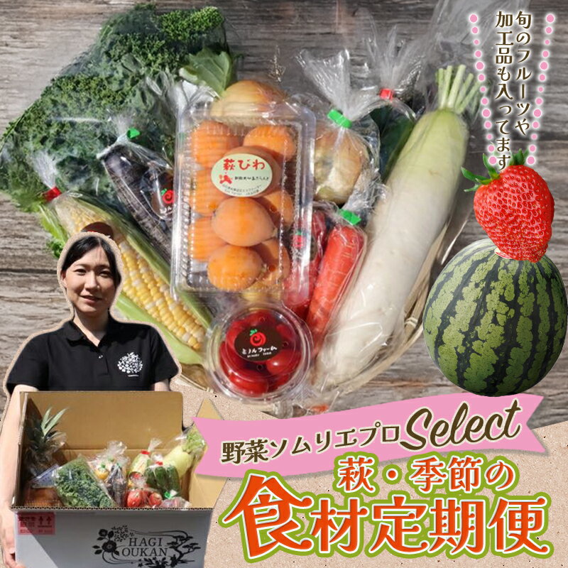野菜ソムリエプロselect／萩・季節の食材定期便 国産 日本産 食品 食べ物 グルメ 新鮮 食材 食事 料理 おかず 惣菜 お弁当 ご飯のお供 食卓 山口県 萩市 美味しい おいしい プレゼント ギフト 贈り物 人気 おすすめ 贈答用 お祝い お中元