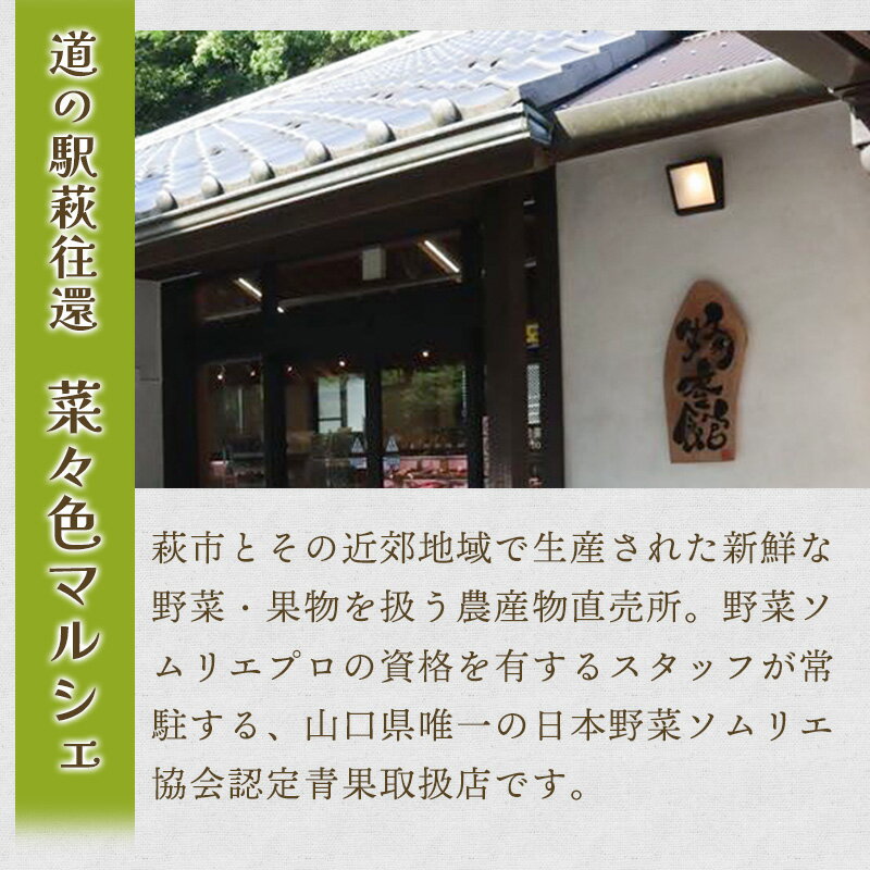 【ふるさと納税】野菜ソムリエプロselect／萩・季節の食材定期便 国産 日本産 食品 食べ物 グルメ 新鮮 食材 食事 料理 おかず 惣菜 お弁当 ご飯のお供 食卓 山口県 萩市 美味しい おいしい プレゼント ギフト 贈り物 人気 おすすめ 贈答用 お祝い お中元 - 画像2