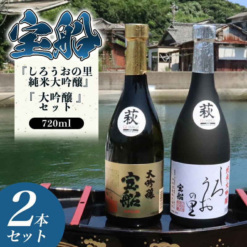 ☆GI萩取得☆ 宝船 『しろうおの里 純米大吟醸』『 大吟醸 』セット
