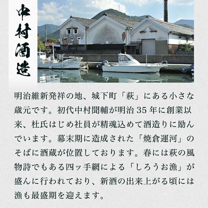 【ふるさと納税】☆GI萩取得☆ 宝船 『しろうおの里 純米大吟醸』『 大吟醸 』セット サムネイル2