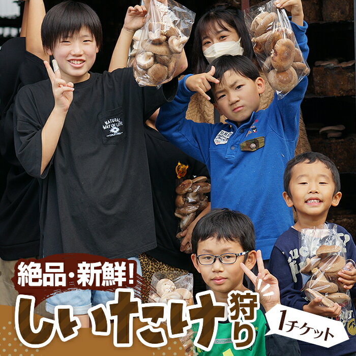 No.207 【★絶品・新鮮★しいたけ狩り！】もぎたてを焼いて試食もできるしいたけ狩り！ファミリー・女性・カップルに◎♪ ／ 体験チケット 収穫体験 レジャー 椎茸 シイタケ ハウス内 雨天可 送料無料 山口県