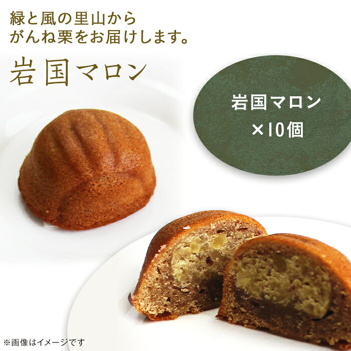 岩国マロン　10個セット(がんね栗をたっぷり使ったマドレーヌ)【里山カフェ　コンディトライHAKU】