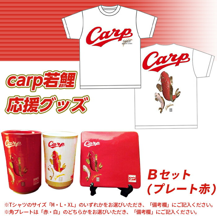 【ふるさと納税】カープ 広島カープ carp若鯉応援グッズBセット サムネイル2