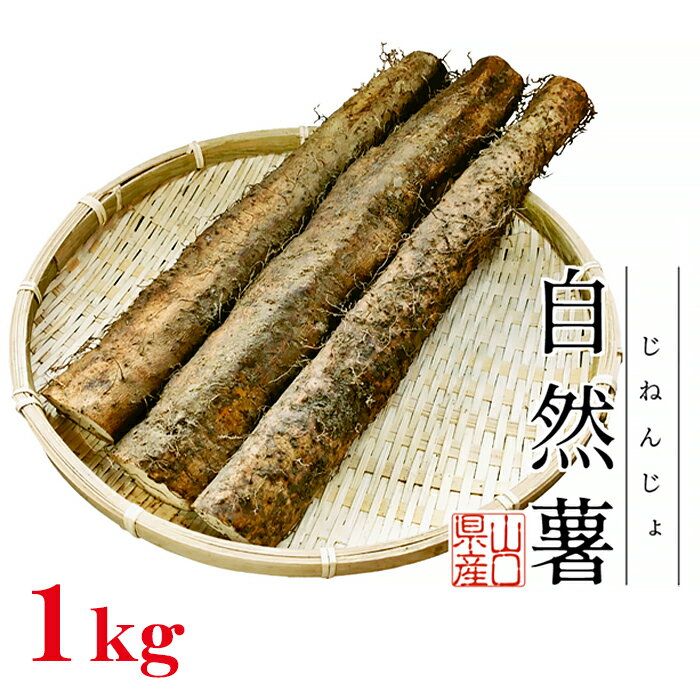 Agrimottoの「自然薯」1kg