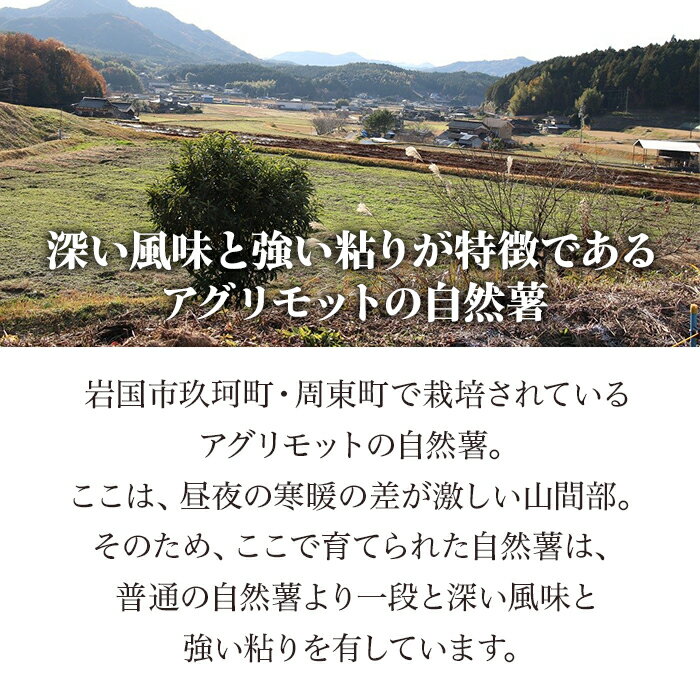 【ふるさと納税】Agrimottoの「自然薯」1kg - 画像3