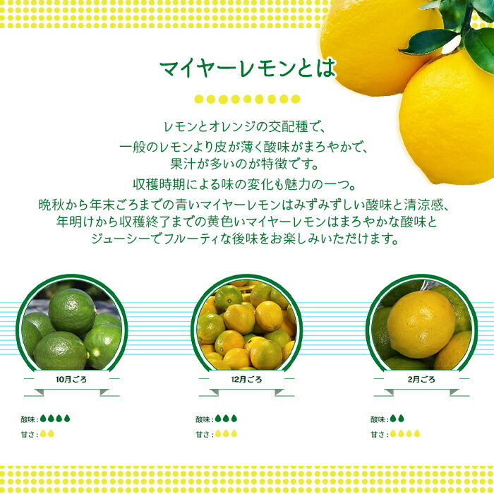 【ふるさと納税】瀬戸内マイヤーレモン 約2kg レモン オレンジ 交配 品種 檸檬 れもん 柑橘 みかん 蜜柑 フルーツ サムネイル2