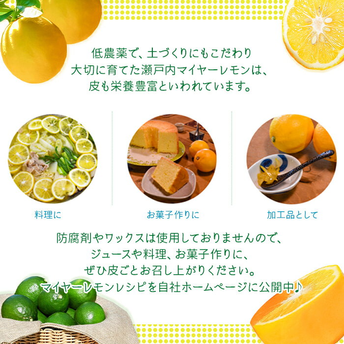 【ふるさと納税】瀬戸内マイヤーレモン 約2kg レモン オレンジ 交配 品種 檸檬 れもん 柑橘 みかん 蜜柑 フルーツ サムネイル3