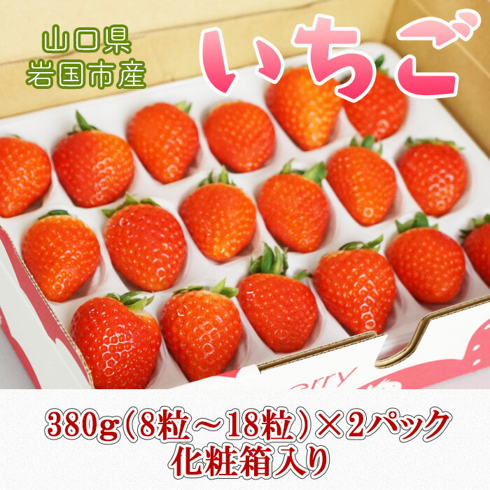 山口県岩国市産「いちご」2パック（1パック380g（8粒～18粒）×2）化粧箱入り ※プラス個包装2個