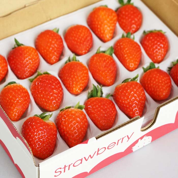 【ふるさと納税】山口県岩国市産「いちご」1パック 380g（8粒～18粒）化粧箱入り サムネイル2