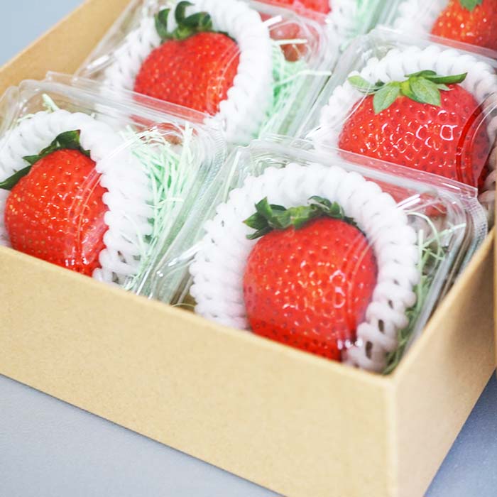 【ふるさと納税】山口県岩国産「いちご」個包装 8個入り サムネイル2