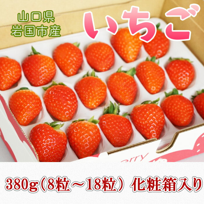 山口県岩国市産「いちご」1パック 380g（8粒～18粒）化粧箱入り