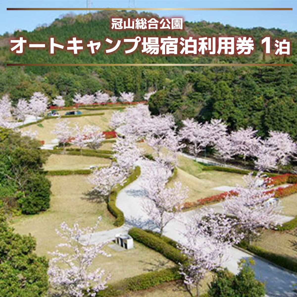 AD01 冠山総合公園オートキャンプ場宿泊利用券（1泊） キャンプ場 宿泊券 チケット 利用券 旅行