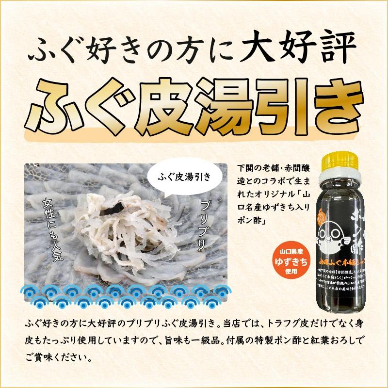 【ふるさと納税】とらふぐ 刺身 5-6人前 冷凍 刺身 フグ 配送日指定可能 日時指定可能 ★レビューキャンペーン対象★ (10101) サムネイル3