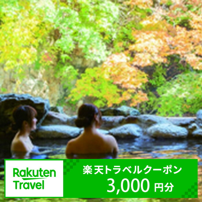 山口県長門市の対象施設で使える楽天トラベルクーポン 寄付額2万円　人気　予約　旅行　宿泊　温泉　おすすめ