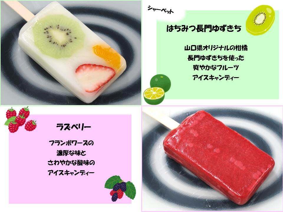 【ふるさと納税】アイスバー アイスキャンディー パティシエが作るアイスバー 10本セット 人気 詰め合せ(1152) - 画像2